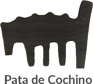 Pata de Cochino